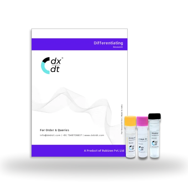 PhiScript™  - cDNA Sythesis Mastermix (5X) - Image 2