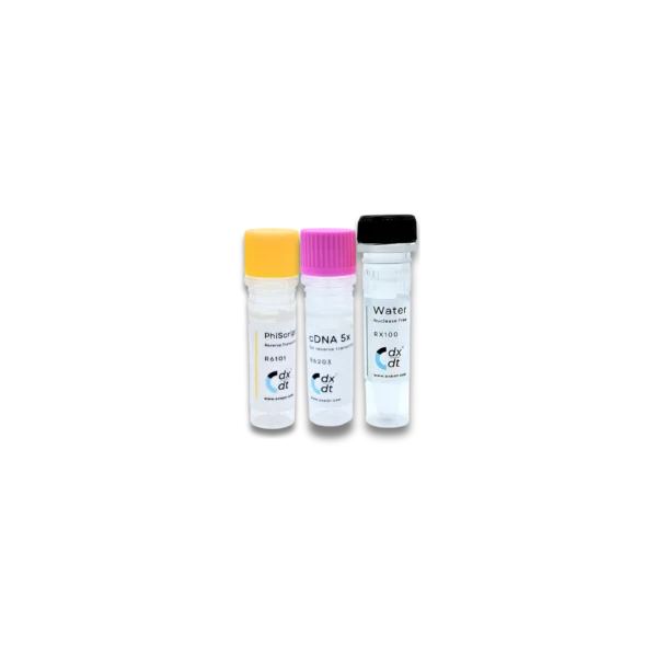 PhiScript™  - cDNA Sythesis Mastermix (5X)