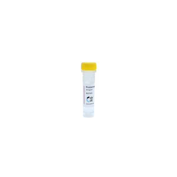 Proteinase K ( ≥ 30U/mg) - Image 2