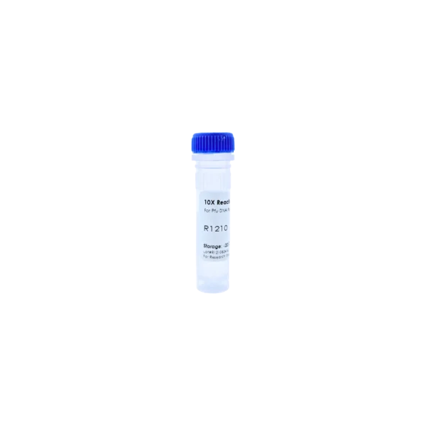 10X Reaction Buffer For HiFi Pfu DNA Polymerase