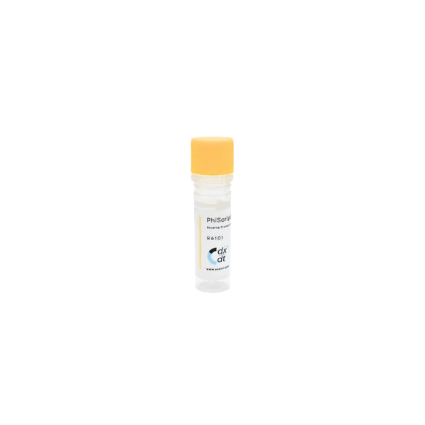 PhiScript™  Reverse Transcriptase (200U/µL)
