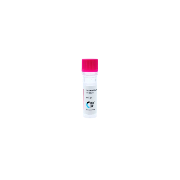 T4 DNA Ligase ( 400 CEU/µL)