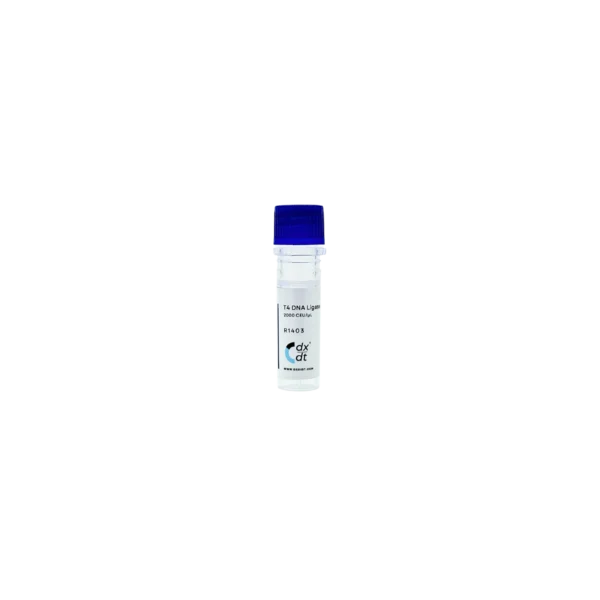 T4 DNA Ligase, High Concentration ( 2000 CEU/µL)