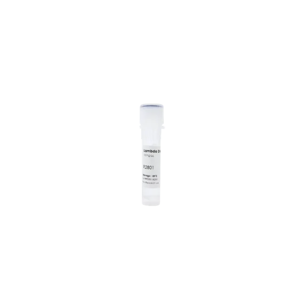 Lambda DNA, 100ng/µl