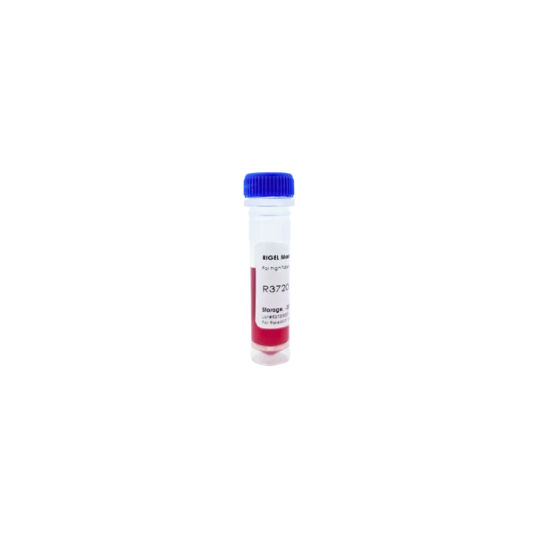 RIGEL™  Super Fidelity Mastermix (2X)