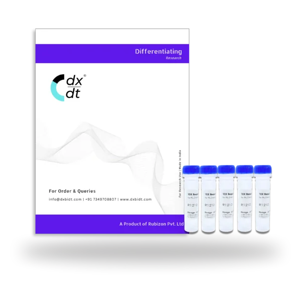 10X Reaction Buffer For HiFi Pfu DNA Polymerase - Image 2