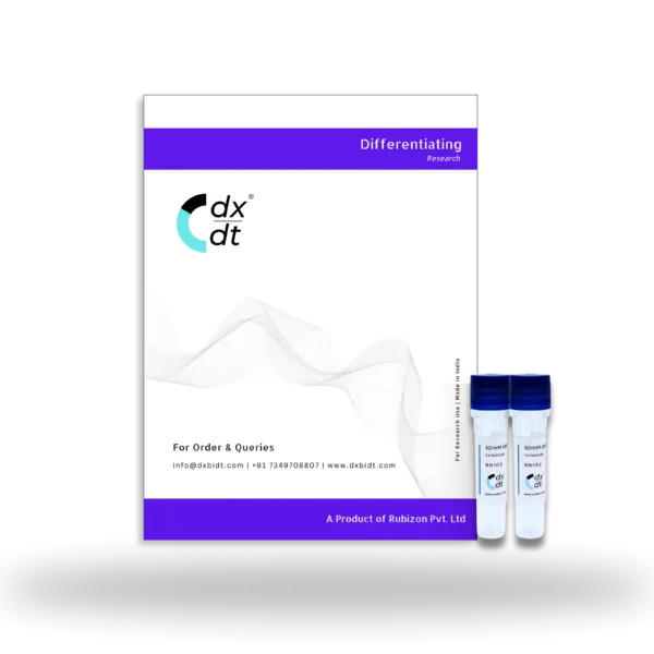 Extrapure dNTP Mix -  2.5/10/25mM Each (dA,dT,dG,dC) - Image 2