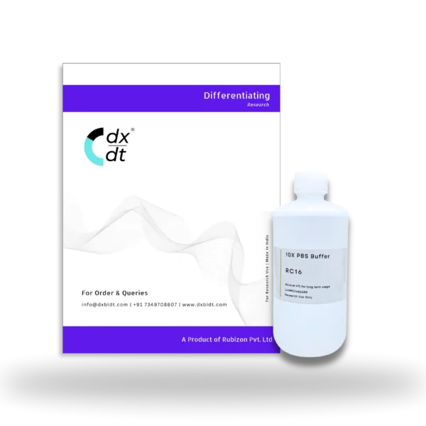 PBS Buffer 10X, MB Grade - Image 2
