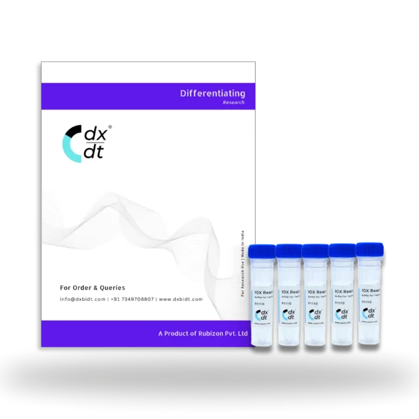 10X Reaction Buffer For Taq DNA Polymerase - Image 2