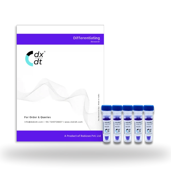 6X Gel Loading Dye BLUE - Image 2