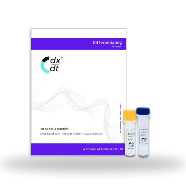 PhiScript™  Reverse Transcriptase (200U/µL) - Image 2