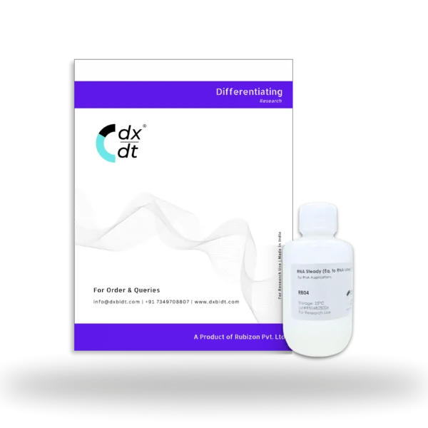RNase Steady™ (Equivalent to RNA Later®) - Image 2