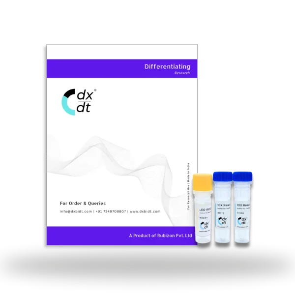 LEO™  Gold Hotstart Taq DNA Polymerase (5U/µL) - Image 2