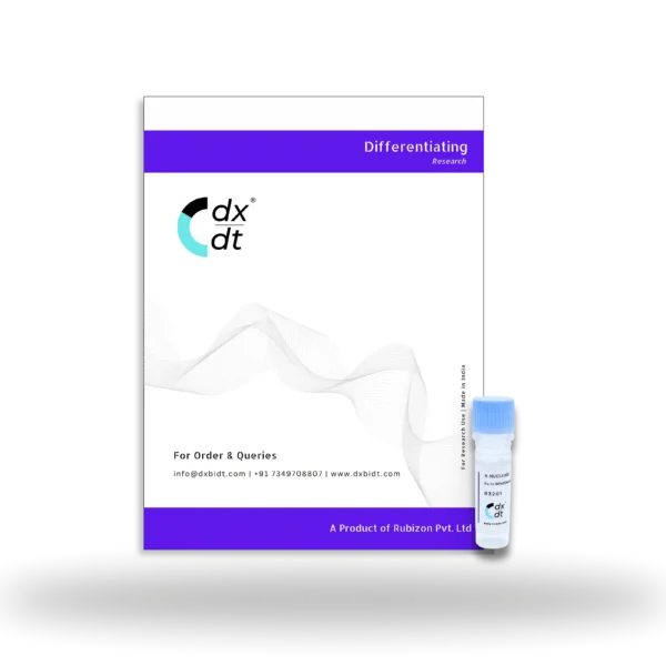 X-Nuclease™ (Eq. to Benzonase®), 500U/µL - Image 2